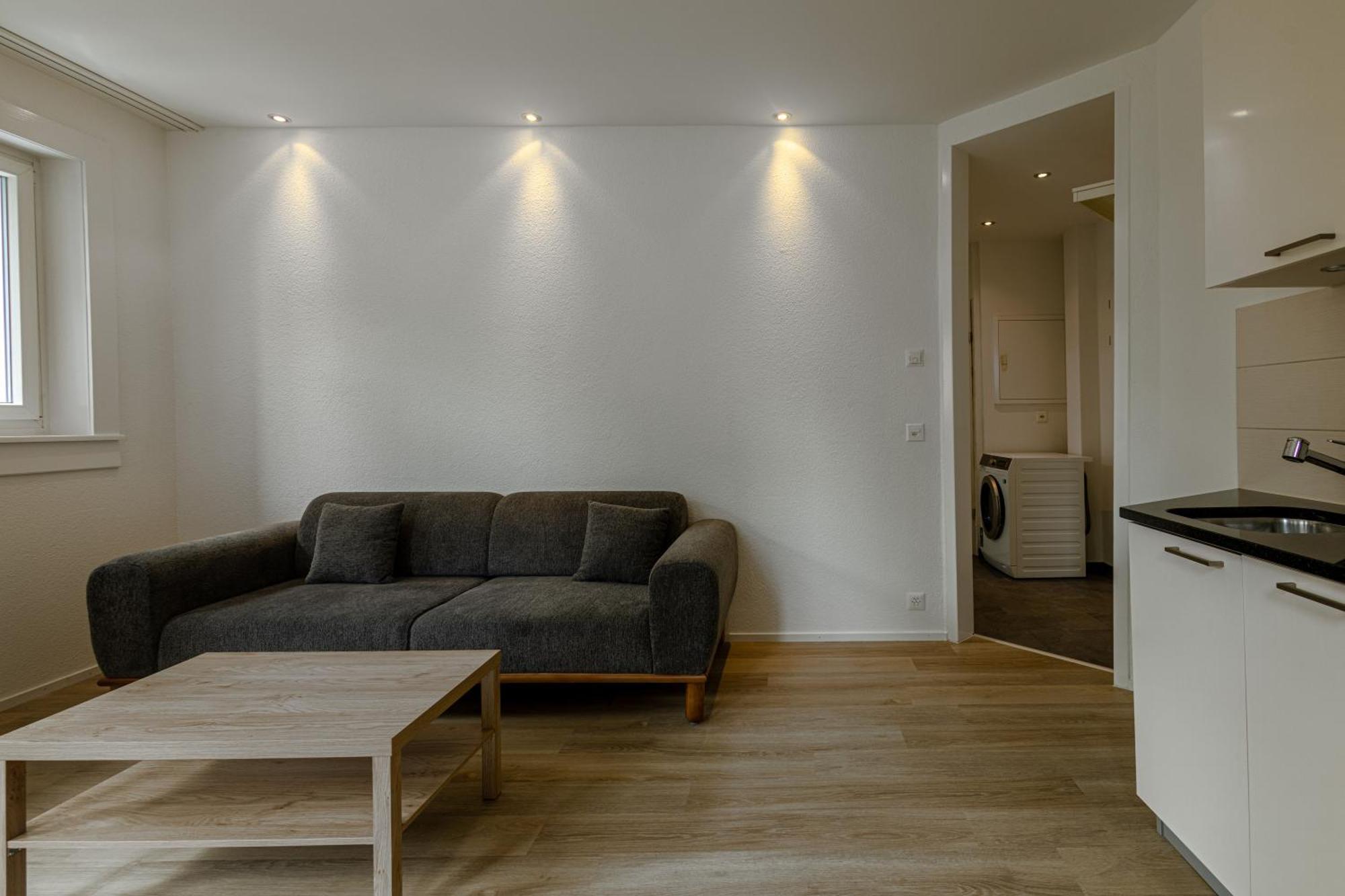 Luxury By Livingdowntown Appartement Zurich